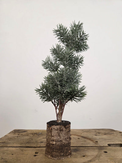 Mini Kunstjuletræ | 40 cm høj