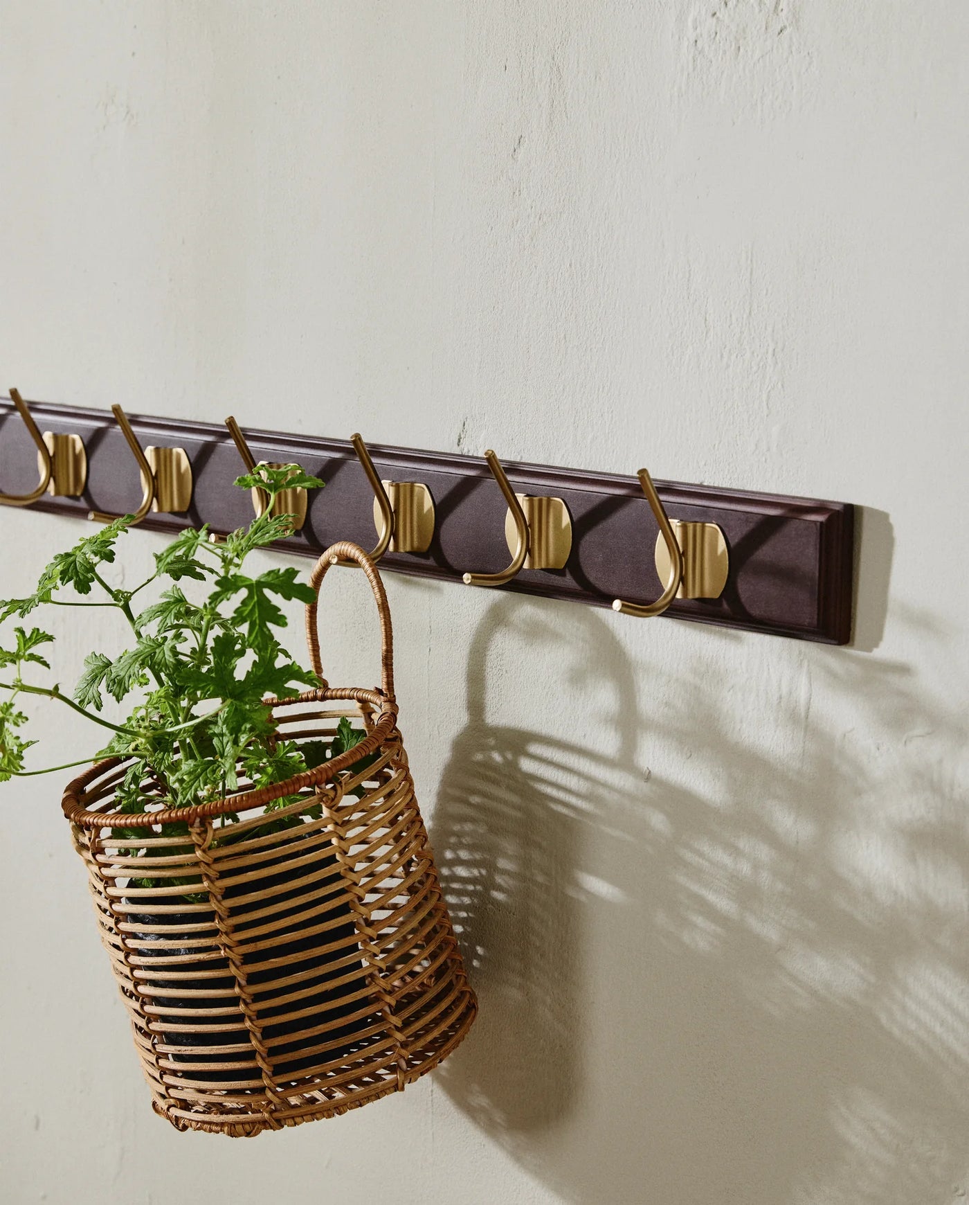 EDGY knagerække i træ | Brun med messing knager