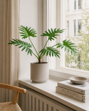 Plante Xanadu Grøn | 66 cm